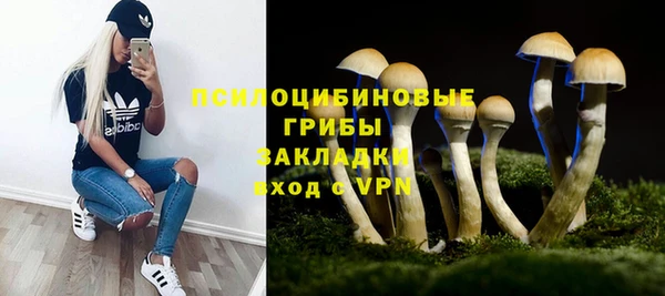 индика Сосновый Бор