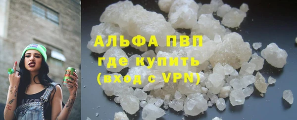 индика Сосновый Бор