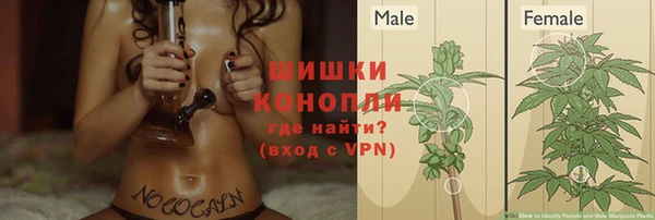 гашиш Сосновоборск