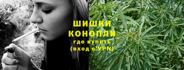 МДПВ Сосновка