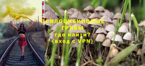 МДПВ Снежногорск
