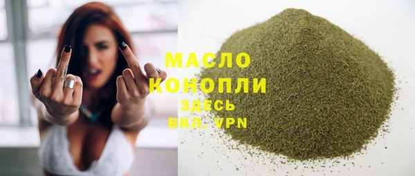 МДПВ Снежногорск